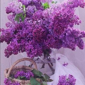 Meet your Posher, Mandy